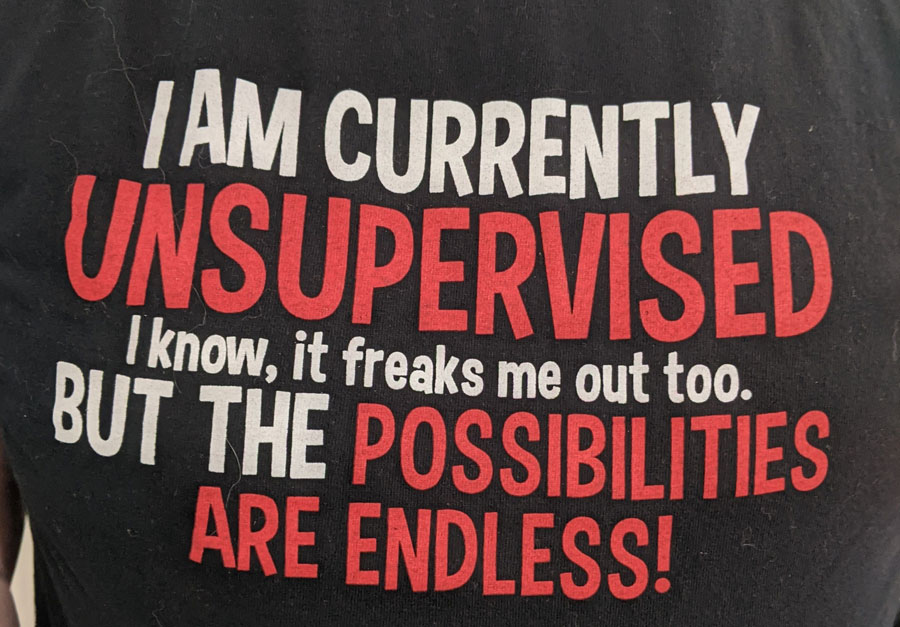 unsupervised tshirt