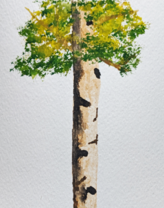Aspen Tree painted by me
