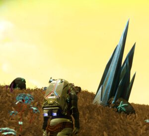 NMS crystals