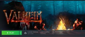Many hours played in Valheim