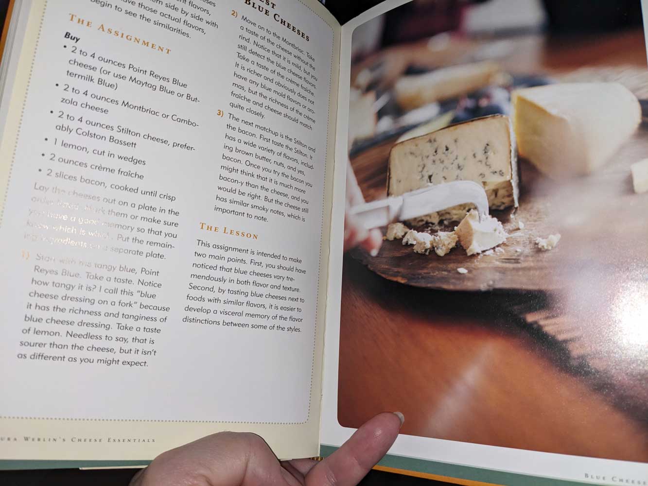 book showing sliced blue cheese